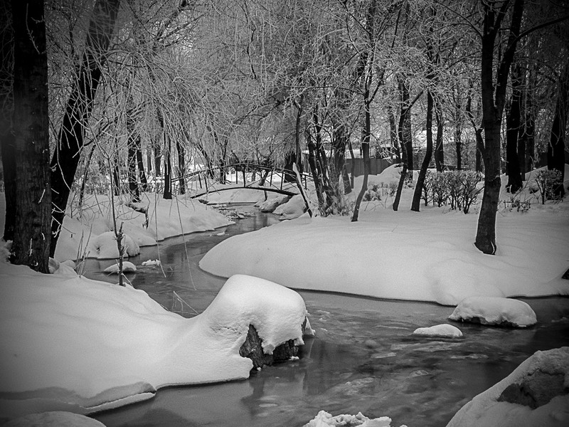 Iarna in Parcul Plumbuita