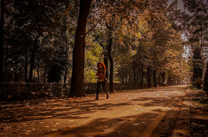 Tomna pe sos. Kiselef