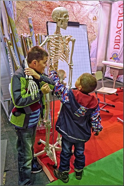 serban_vornicu-gaudeamus2014_24