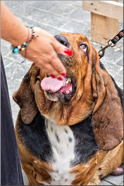 serbanvornicu_street_delivery2_06