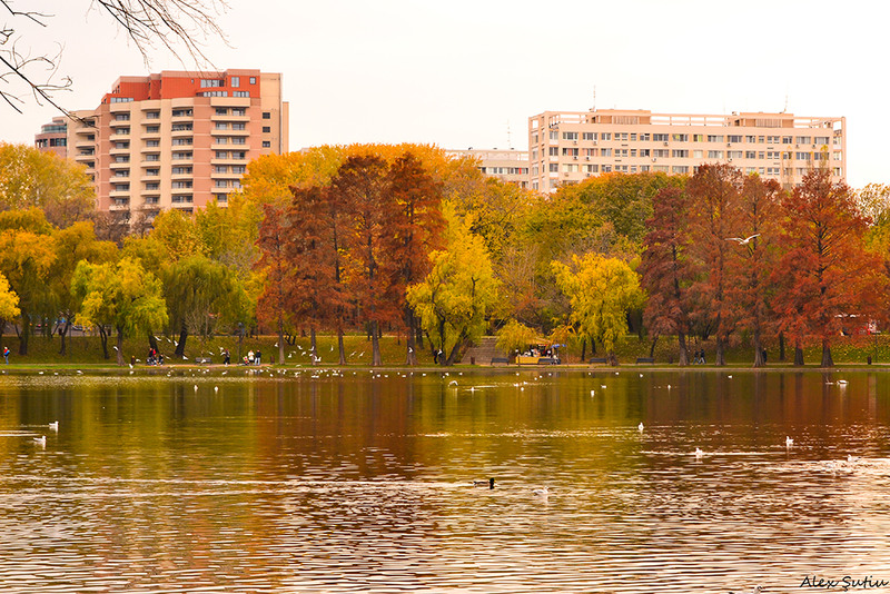 autumn-walk-dsc_4004-prel