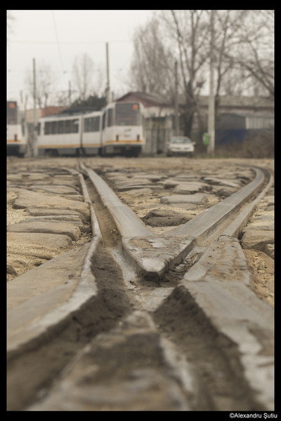 crosslines-dsc_6264-prel