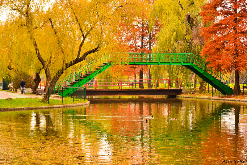 green-bridge-dsc_4097-prel