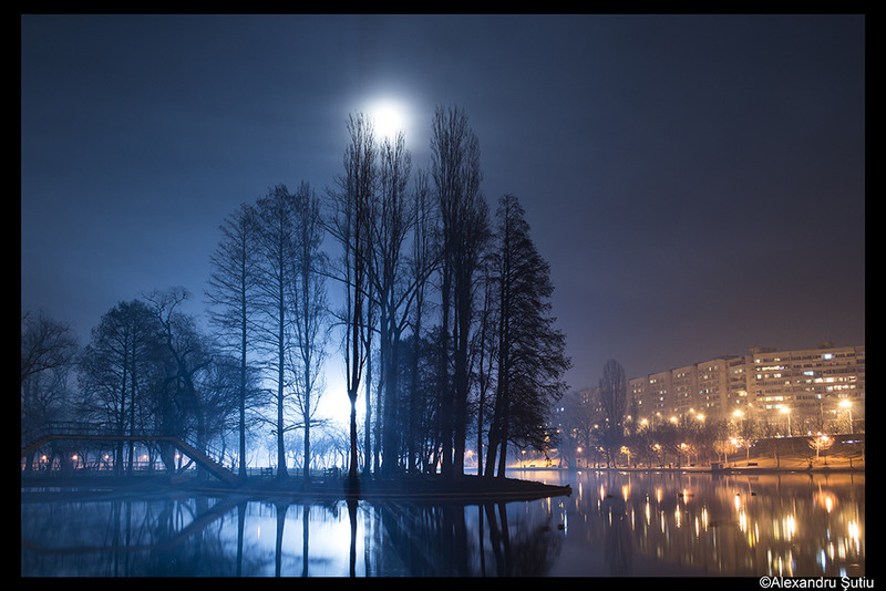 half-light-dsc_6178-prel