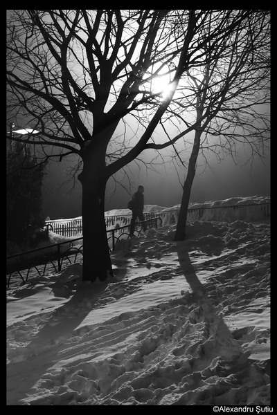 late-walk-dsc_6551-prel