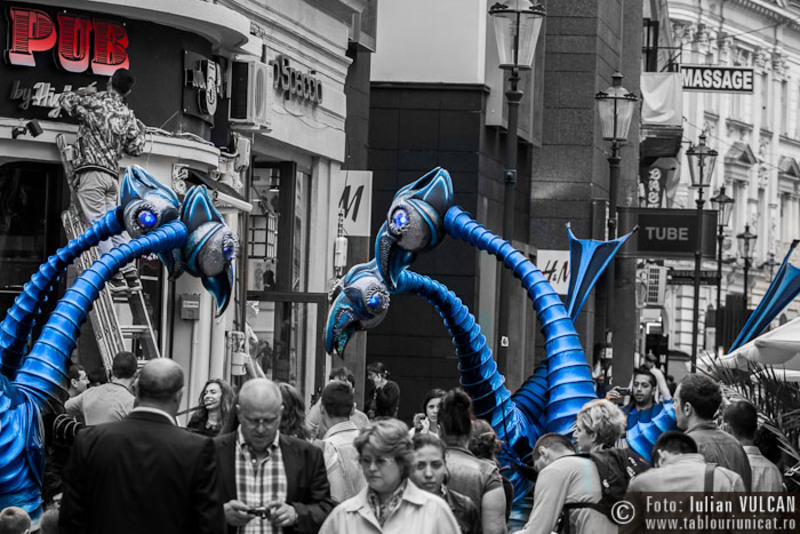 bfit2014_foto-iulian-vulcan-06