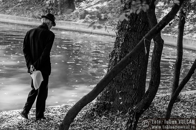 strada_foto-iulian-vulcan_001