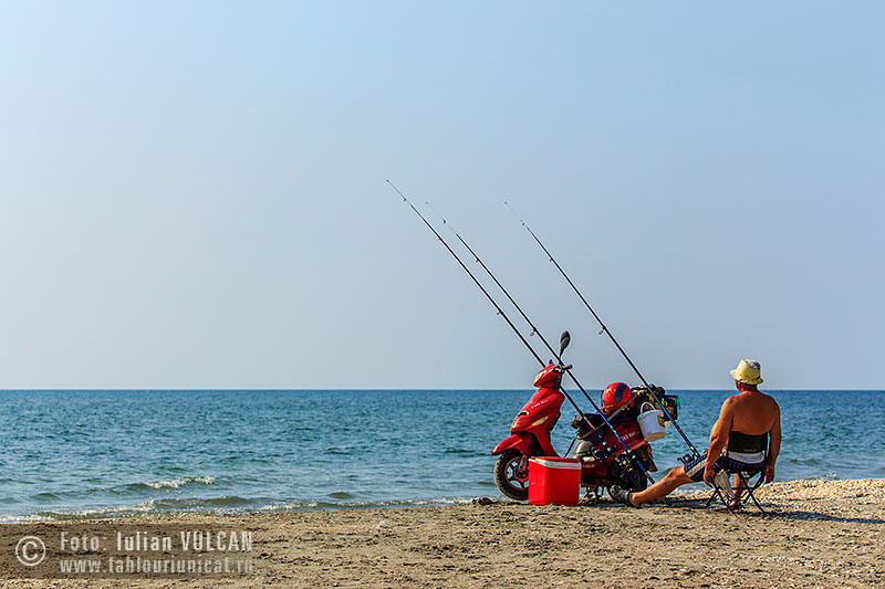 strada_foto-iulian-vulcan_302