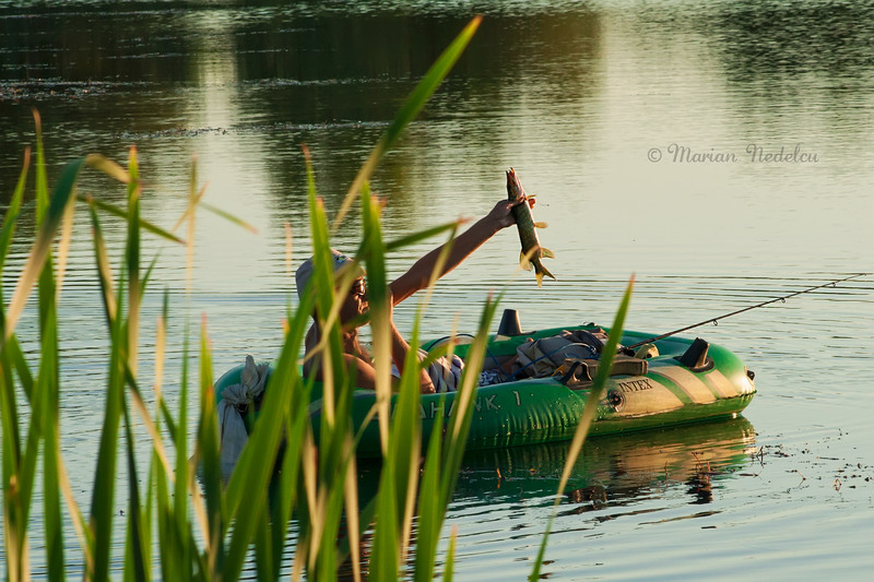 Lacul Vacaresti, delta Bucurestiului