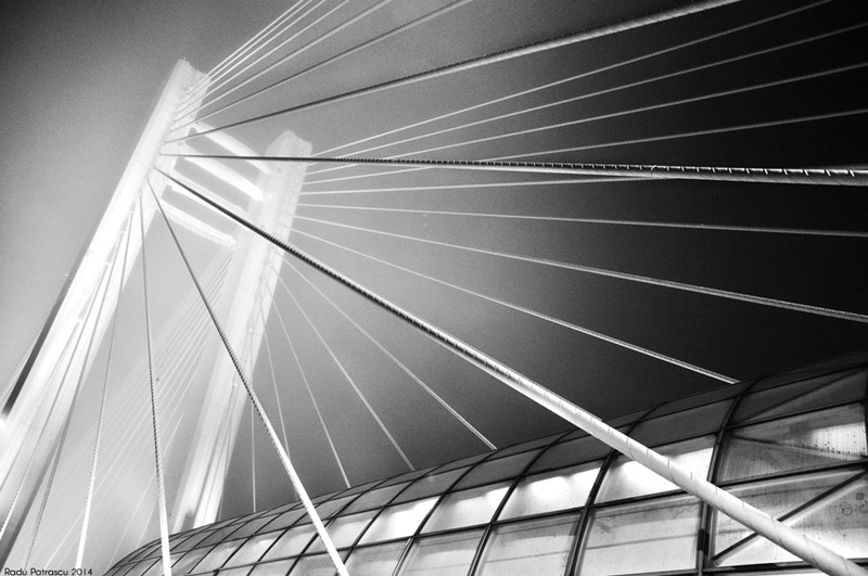 basarab-incetosat_radu-patrascu