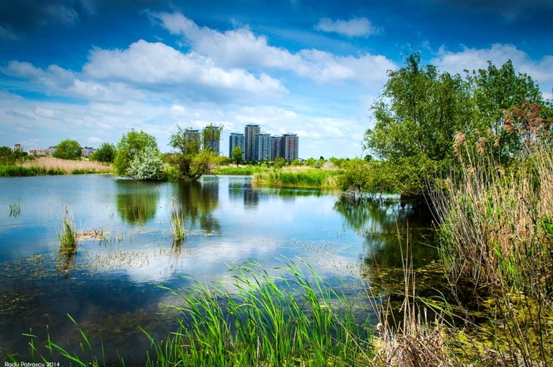 bucurestiul-din-delta_radu-patrascu