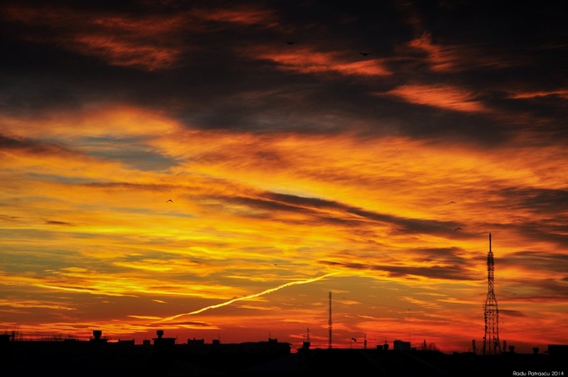 dimineti-portocalii_radu-patrascu