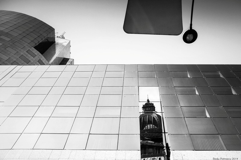 fragmente_radu-patrascu