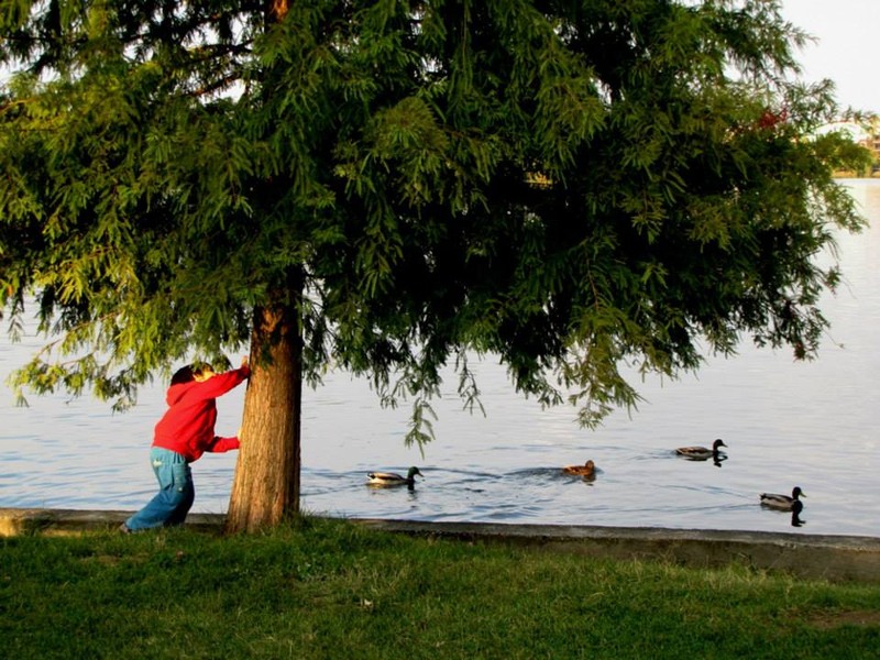 10678733_770418479672083_2255996274662709820_n