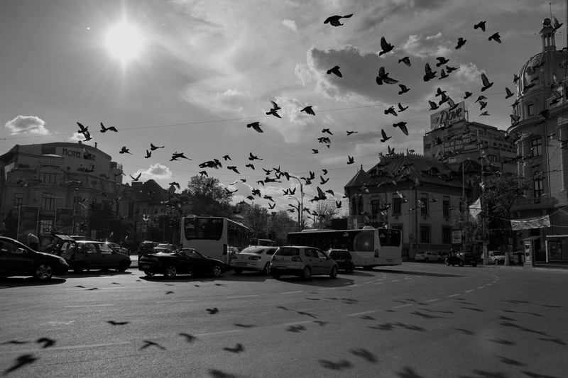 carmen-stefan-pelinel-2