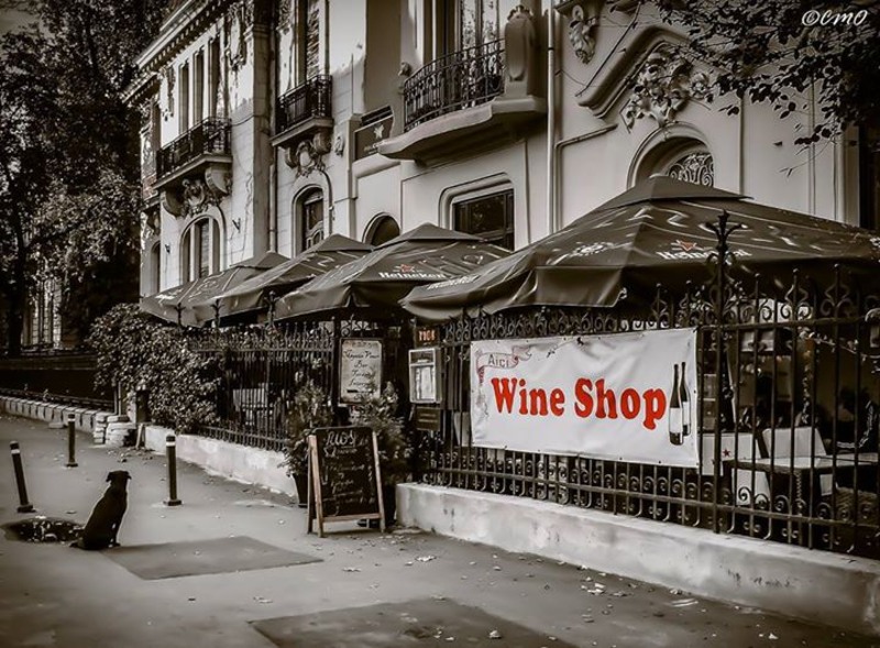 1376578_290366451157451_5972065593297937681_n