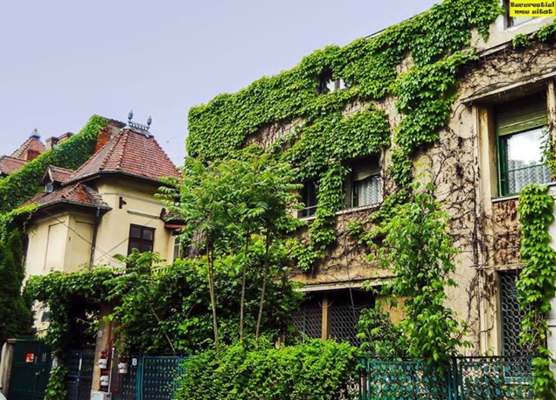 ratacind-prin-bucuresti2