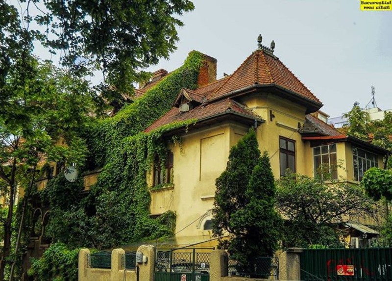 ratacind-prin-bucuresti3