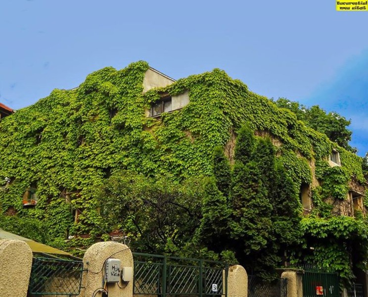 ratacind-prin-bucuresti5