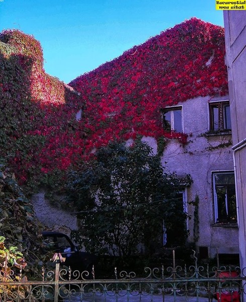 ratacind-prin-bucuresti6