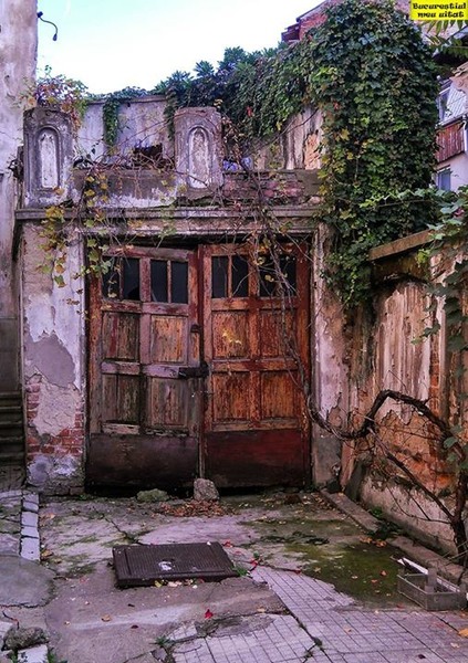 ratacind-prin-bucuresti7