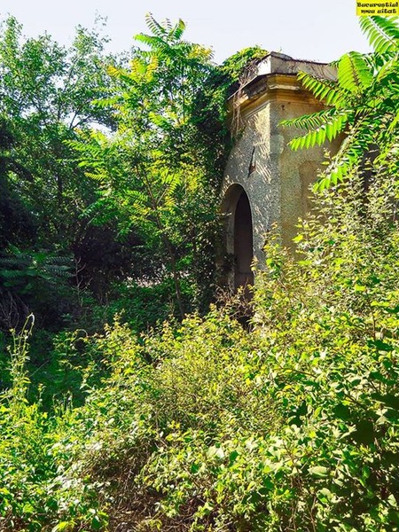 vechiul-senat-pe-strada-senatului-astazi-valerian-prescurea