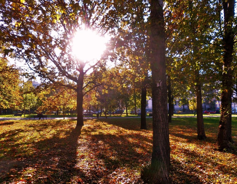 sam_0120-4_apus-de-toamna