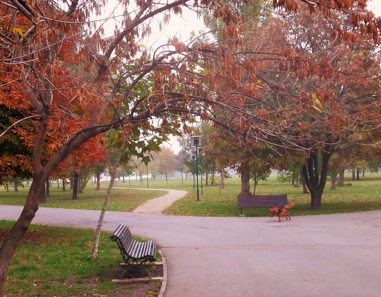 sam_0383-2_parc-la-inceput-de-toamna