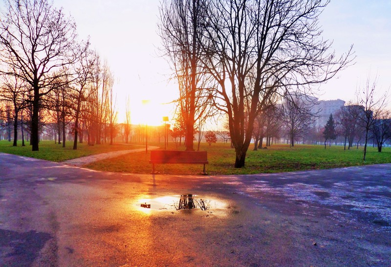 sam_0983-3_alte-reflexii