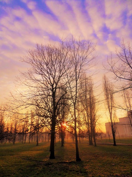 sam_1000-3_rasarit-de-toamna