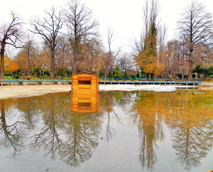 sam_2775-2_cabana-cismigiu-lac