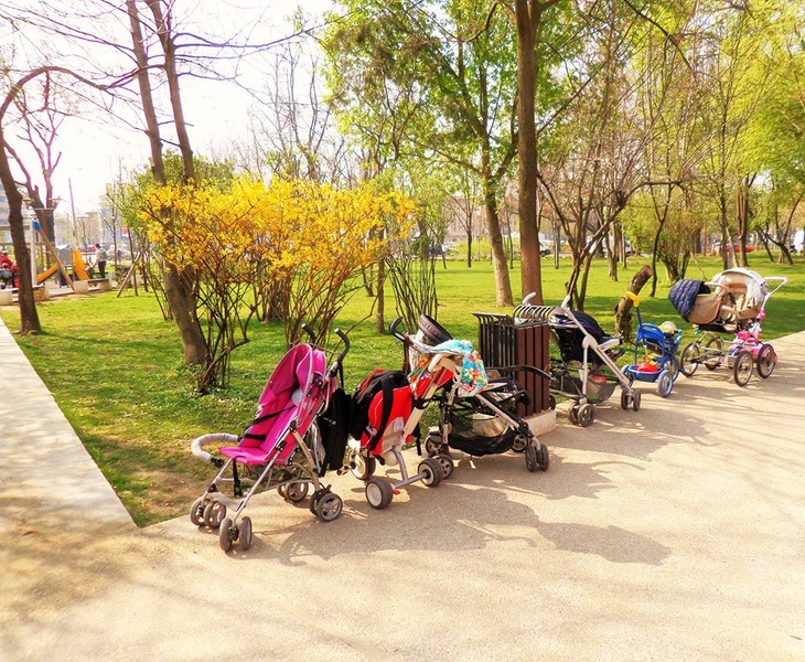 sam_4023-2_parcarea-generatiei-viitoare