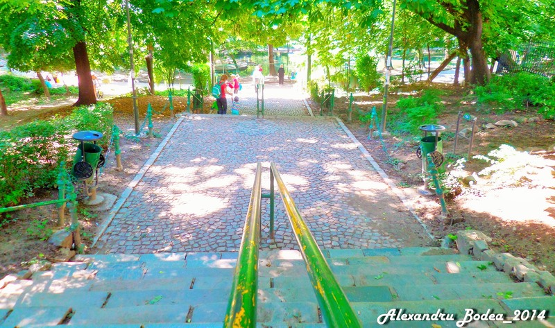 sam_6561a-2_treptele-din-cismigiu