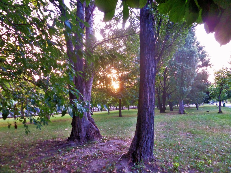 sam_7477_apus-de-soare-2