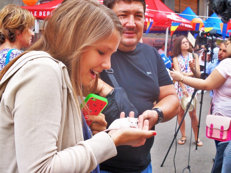 sam_7675_curajoasa-2