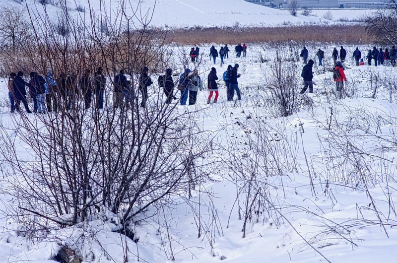 serban_vornicu-deltabuc_03