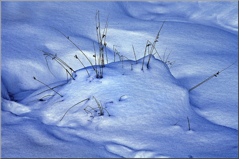 serban_vornicu-deltabuc_04