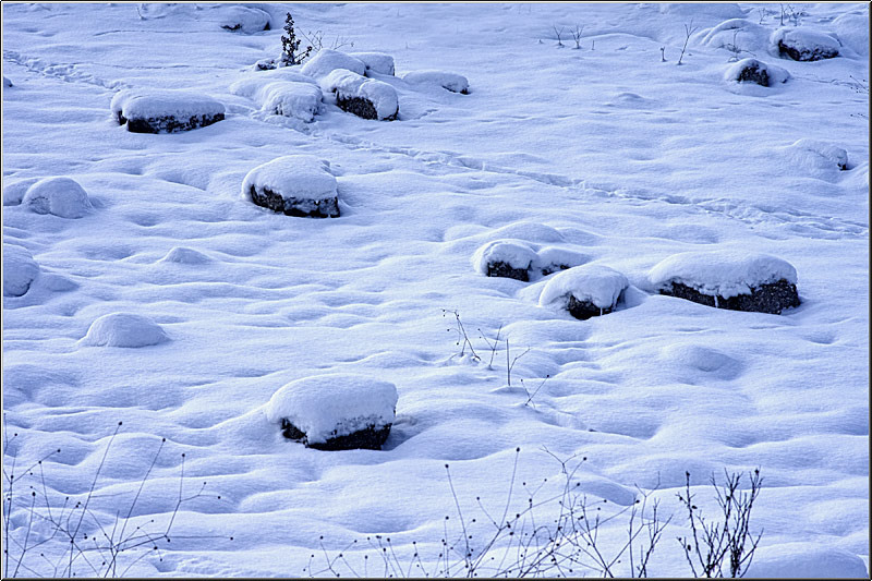 serban_vornicu-deltabuc_07