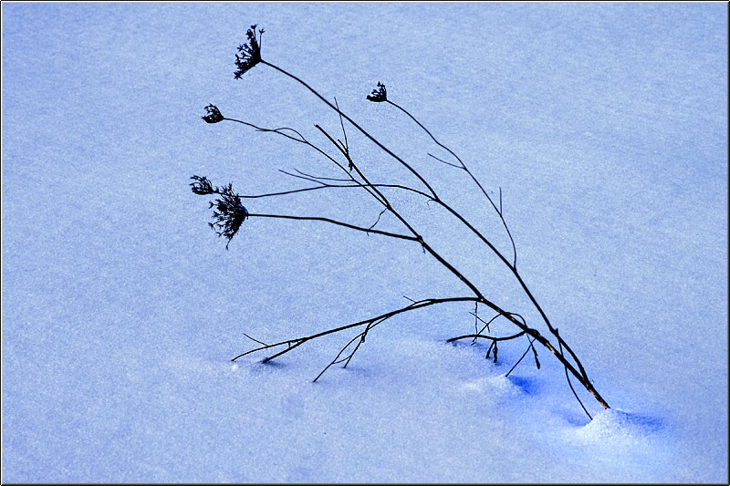 serban_vornicu-deltabuc_08