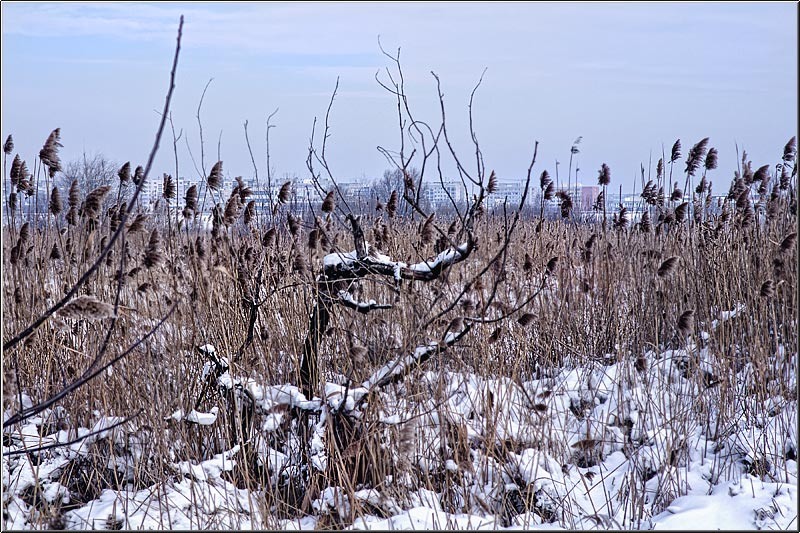 serban_vornicu-deltabuc_09