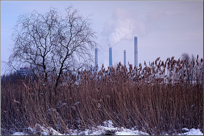 serban_vornicu-deltabuc_11