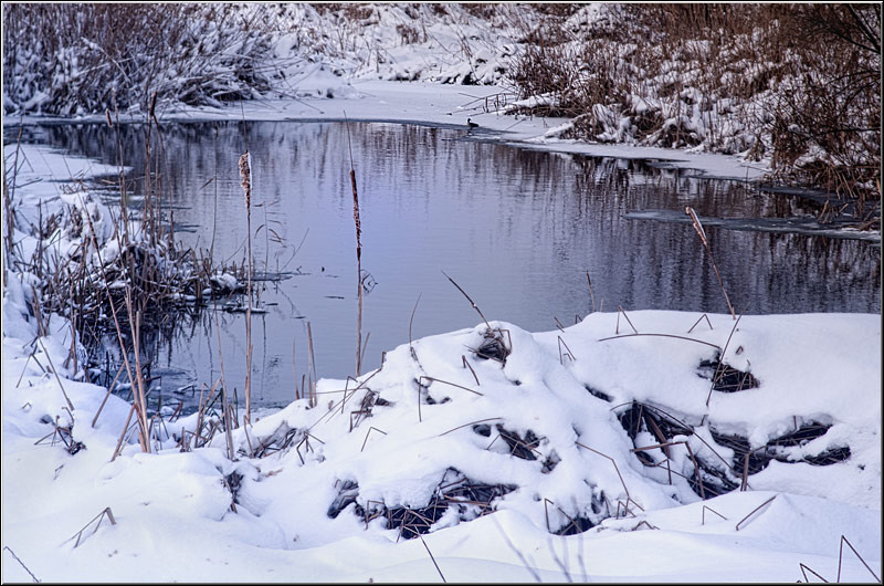 serban_vornicu-deltabuc_13