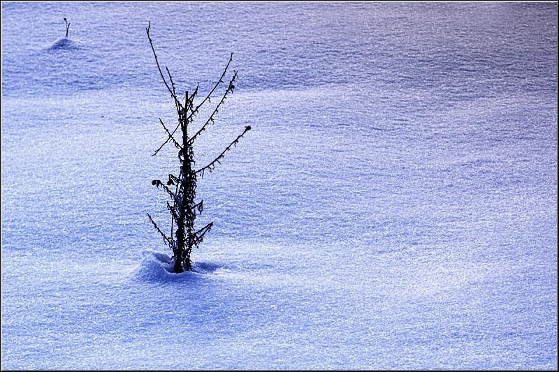 serban_vornicu-deltabuc_16