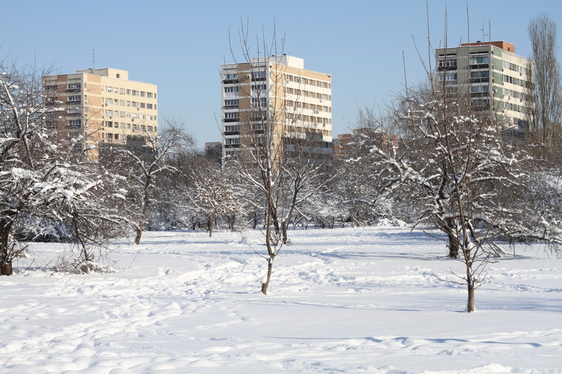 2014_12_31_4426_001702