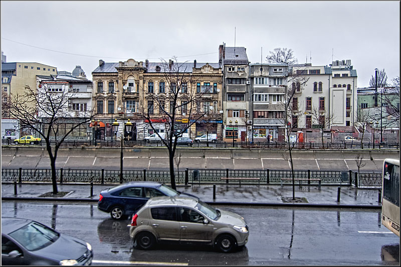 serban_vornicu-24ianuarie_01