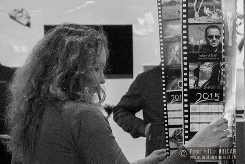 iulianvulcan_wwwtablouriunicatro_13