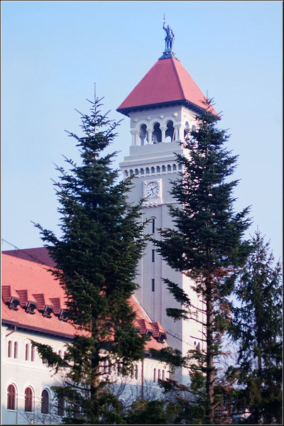 serban_vornicu-crangasimuzeu_14