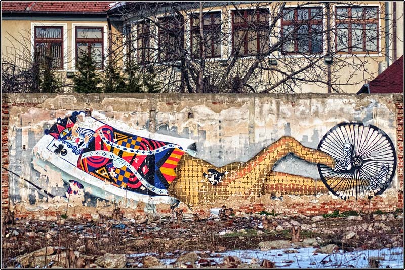 serban_vornicu-crangasimuzeu_16