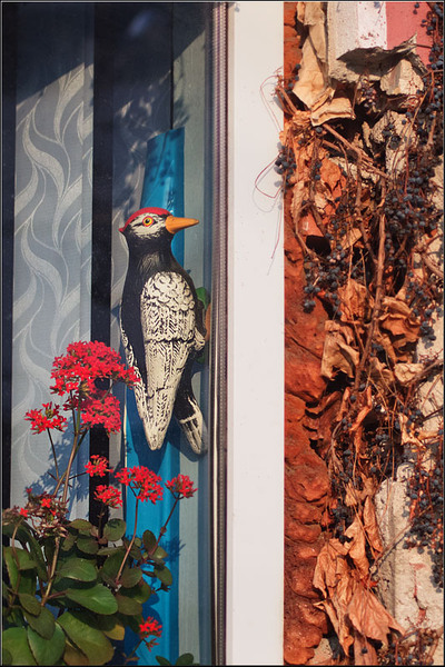 serban_vornicu-crangasimuzeu_20