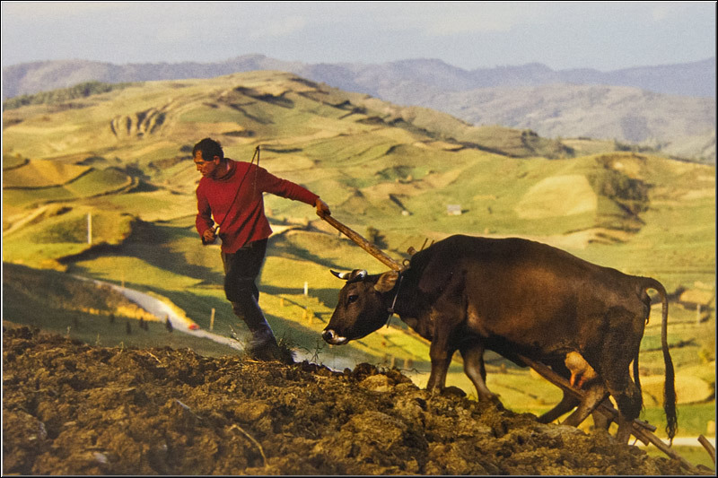 serban_vornicu-crangasimuzeu_25